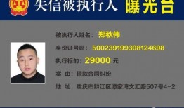 巡查员最新爆料视频大全,揭秘现场实况，一探究竟